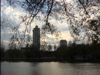 Kunming21.jpg