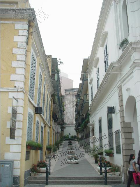 Macau-May200508.jpg