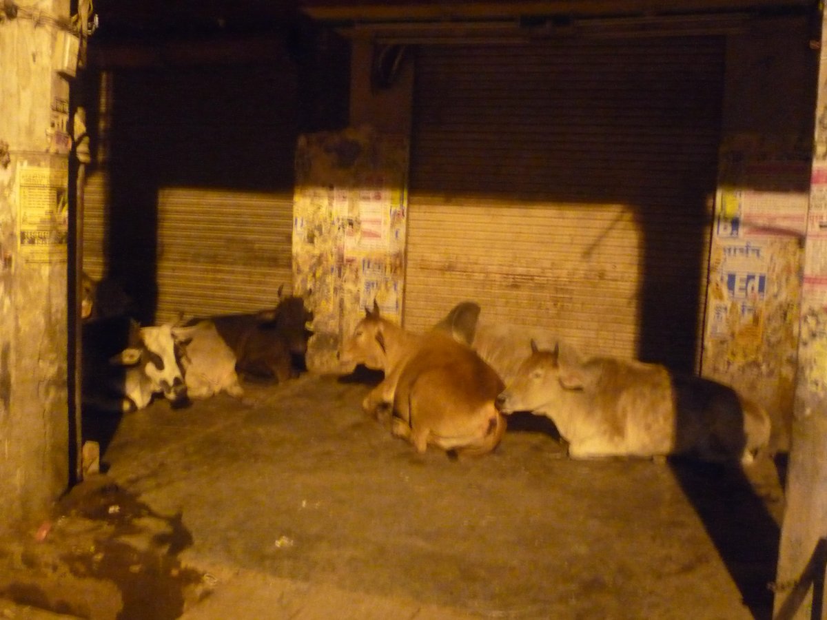 Varanasi09