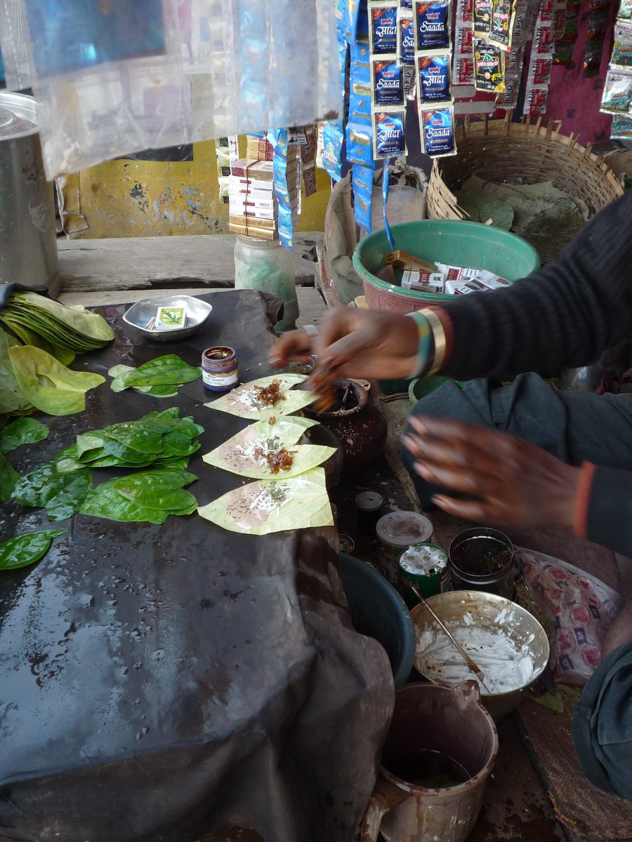 Varanasi14