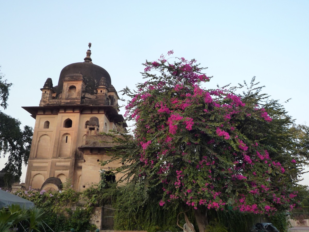 Chhatris31