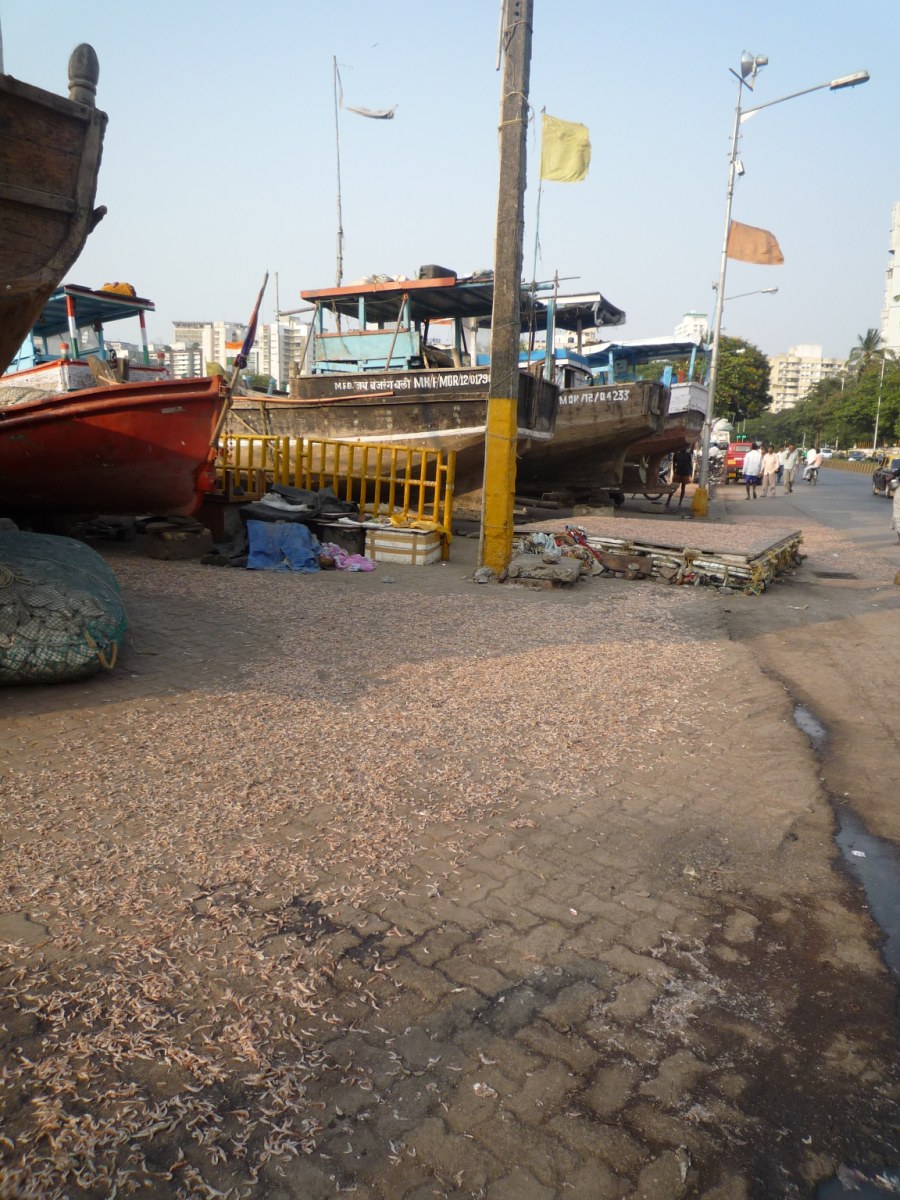 Fisherman08