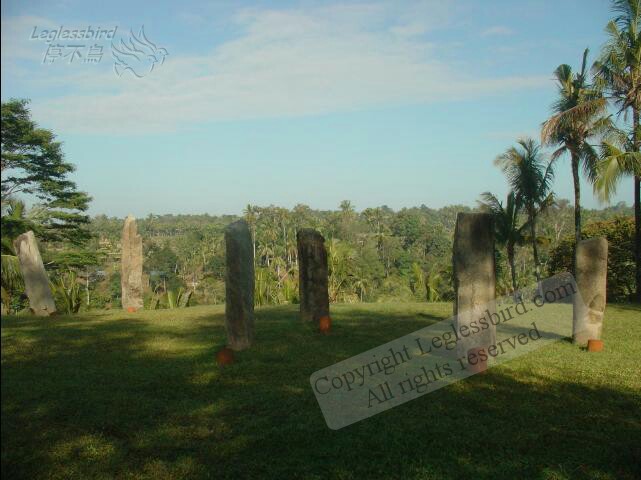 AlilaUbud25.jpg