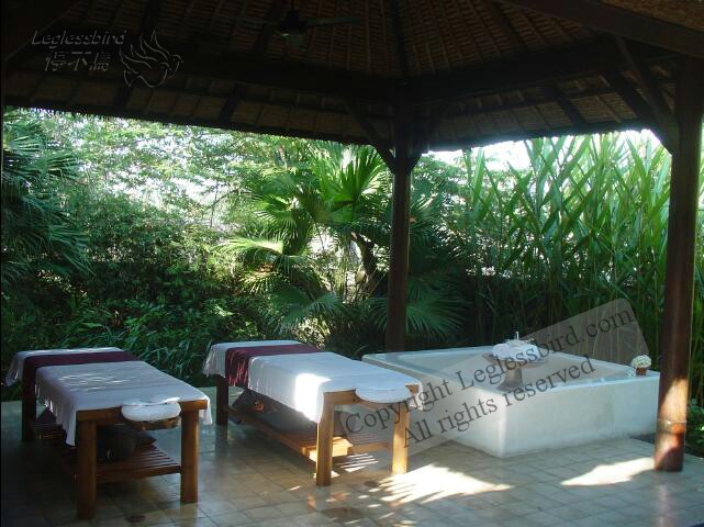AlilaUbud26.jpg