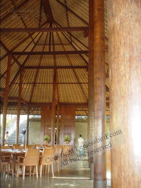 AlilaUbud28.jpg