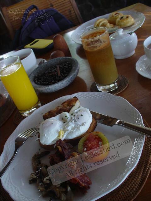 AlilaUbud37.jpg