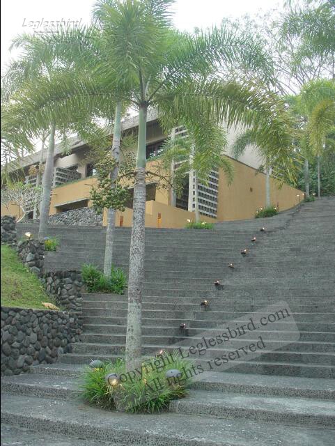 AlilaUbud73.jpg