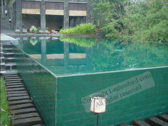 AlilaUbud74.jpg