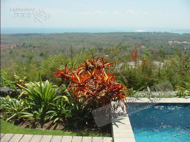 BalanganVilla04.jpg
