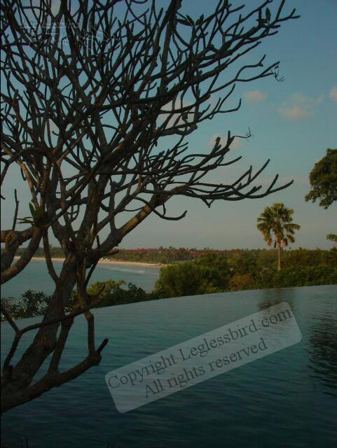FourSeasons10.jpg