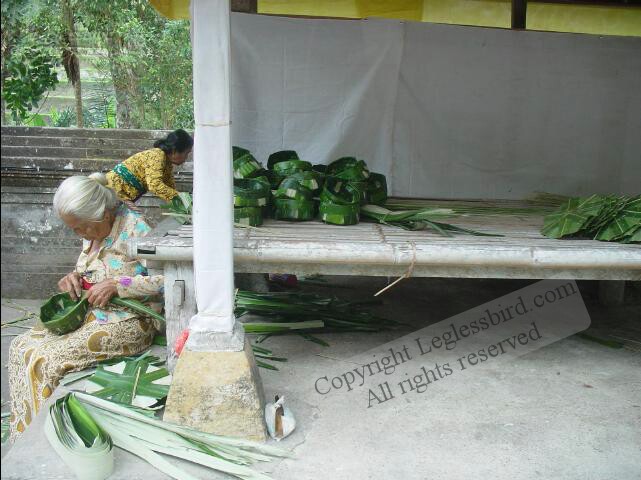 Sebatu-Tegallalang09.jpg