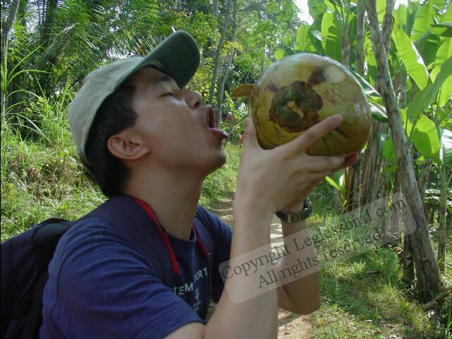 Trekking28.jpg