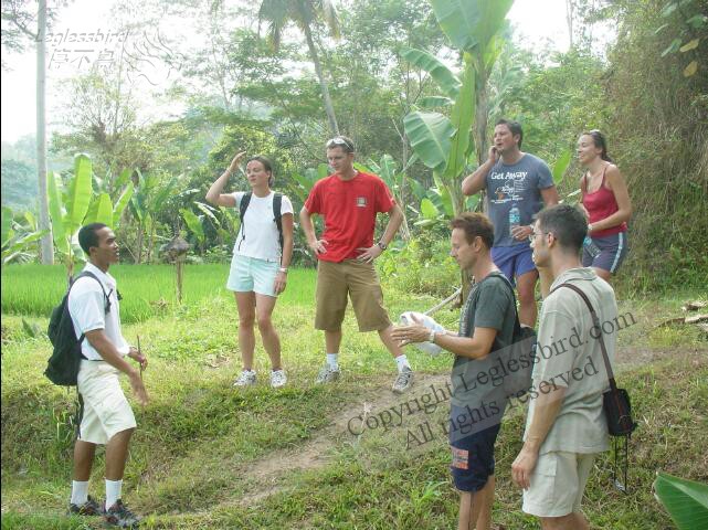 Trekking38.jpg