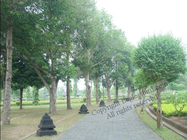 BorobudurTemple01.jpg