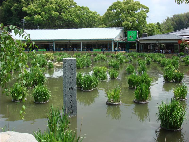 Dazaifu26