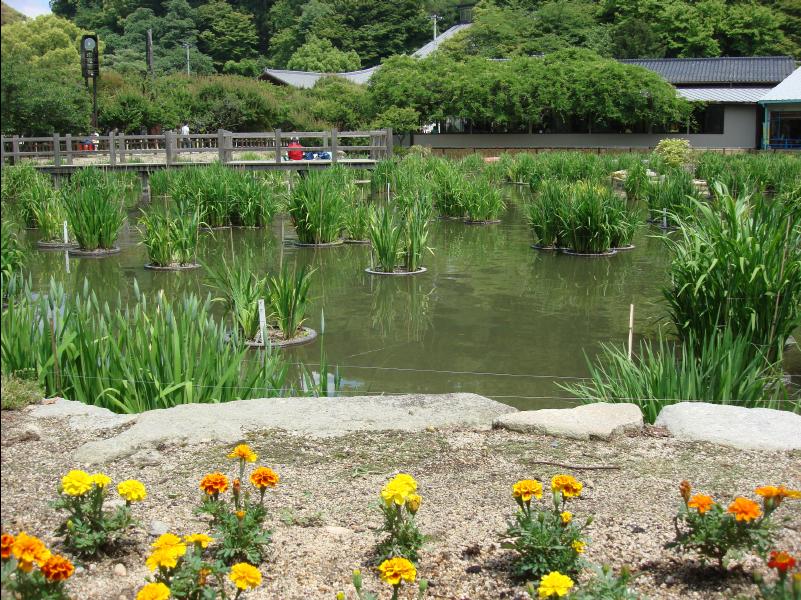 Dazaifu27
