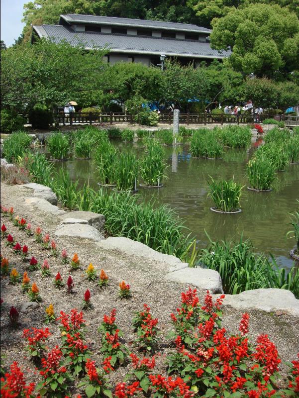Dazaifu28
