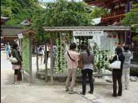 Dazaifu16