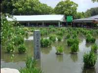 Dazaifu26