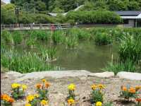 Dazaifu27