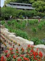Dazaifu28