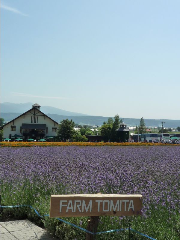 Farm_Tomita19