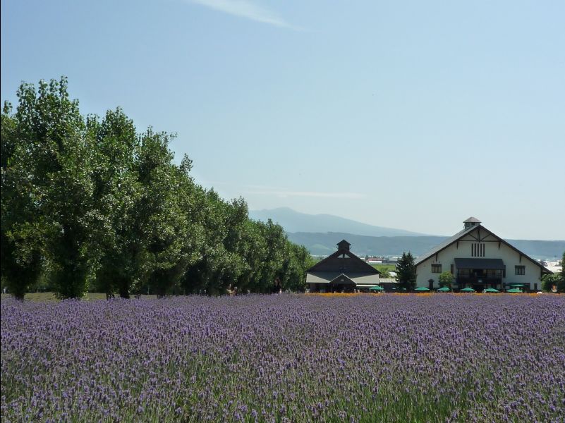 Farm_Tomita22