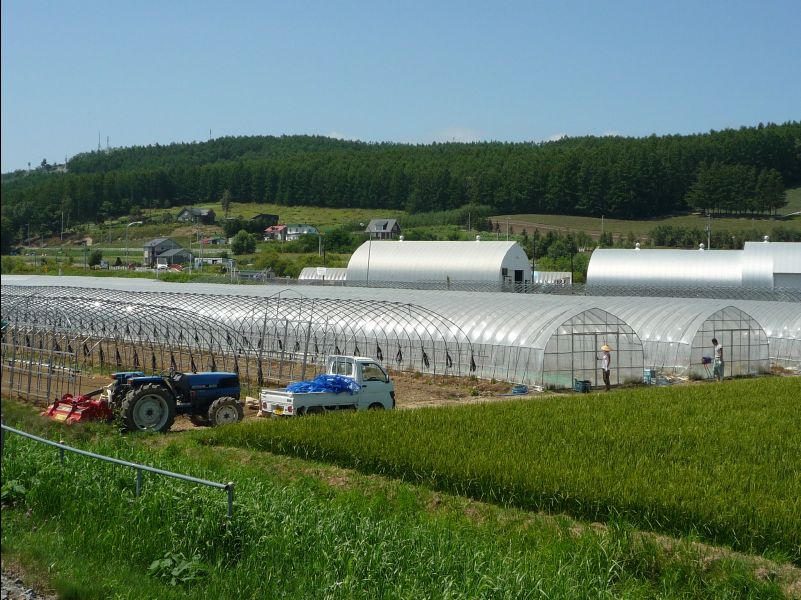 Furano11