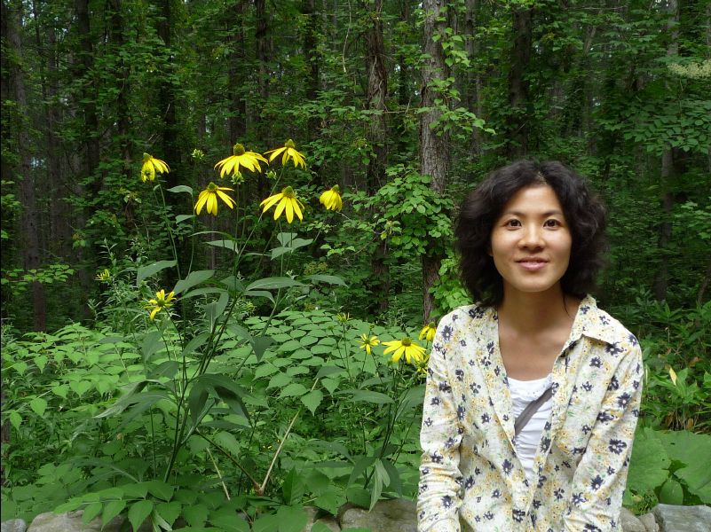 Ningle_Terrace10