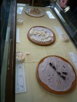 Cheese_Factory06