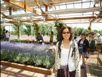 Farm_Tomita14