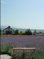 Farm_Tomita19