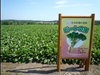 Furano09