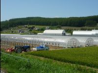 Furano11