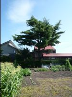 Goto_Sumio_Museum_of_Art004