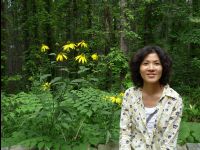Ningle_Terrace10