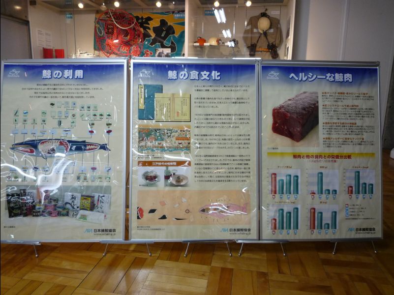 Kushiro41