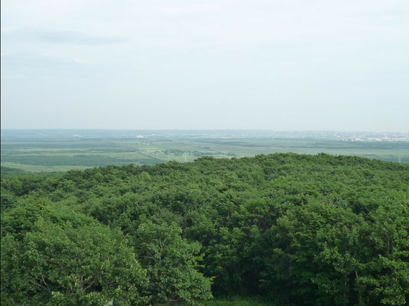 Wetland_Park03
