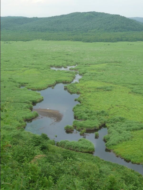 Wetland_Park17