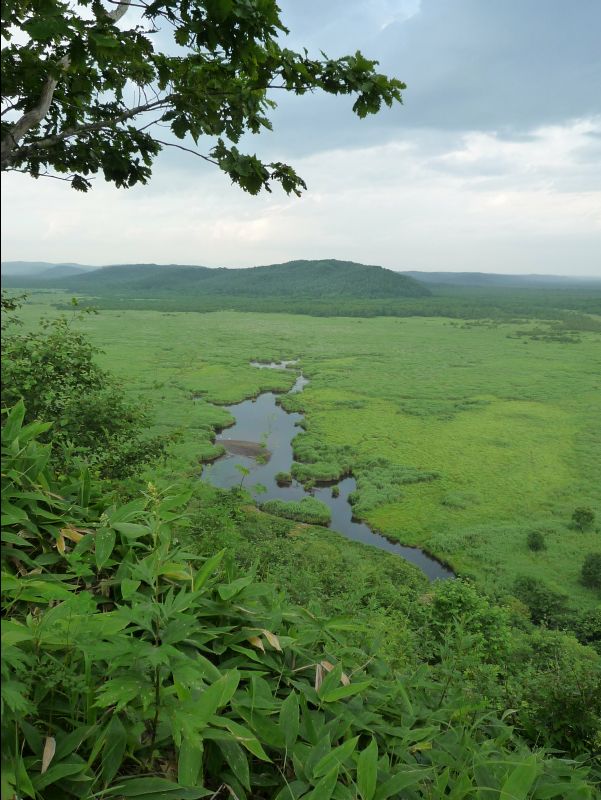 Wetland_Park21