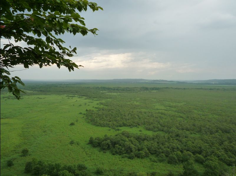 Wetland_Park23