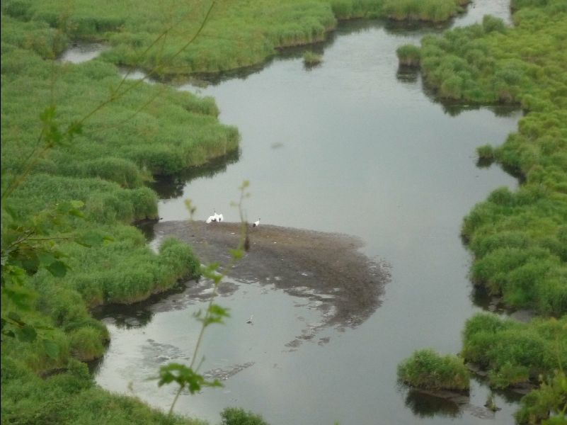 Wetland_Park26