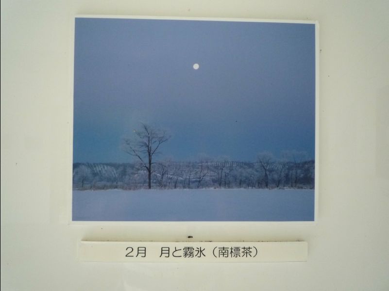 Wetland_Park31