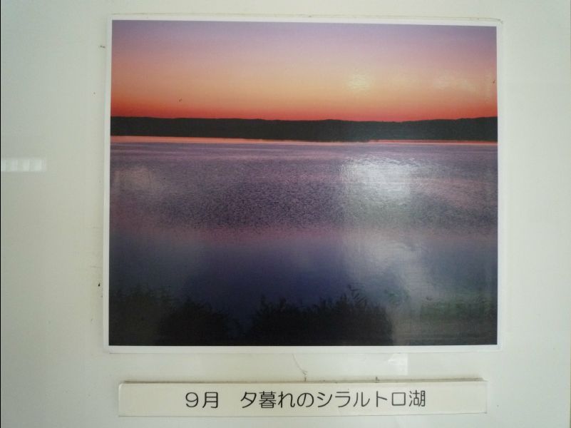 Wetland_Park34