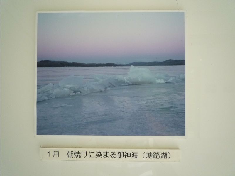 Wetland_Park36