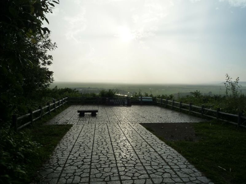 Wetland_Park37