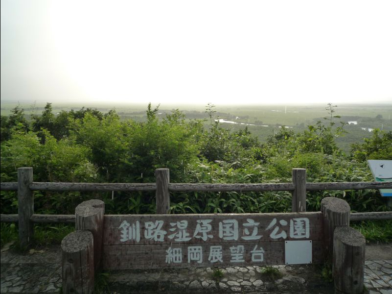 Wetland_Park38
