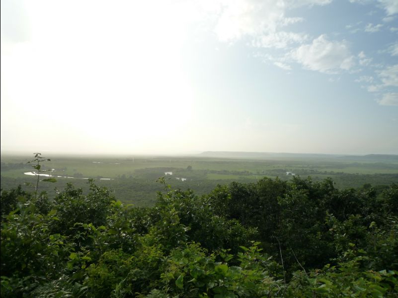 Wetland_Park40