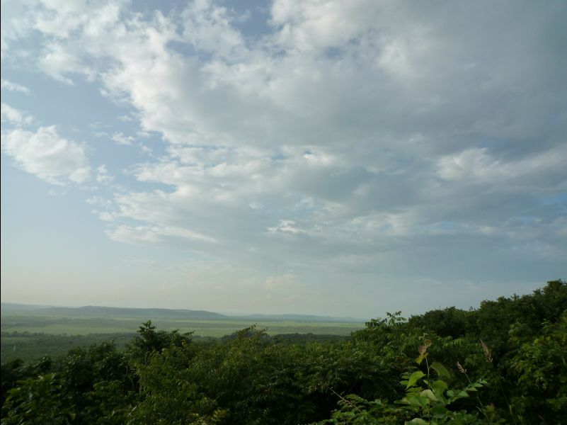Wetland_Park42