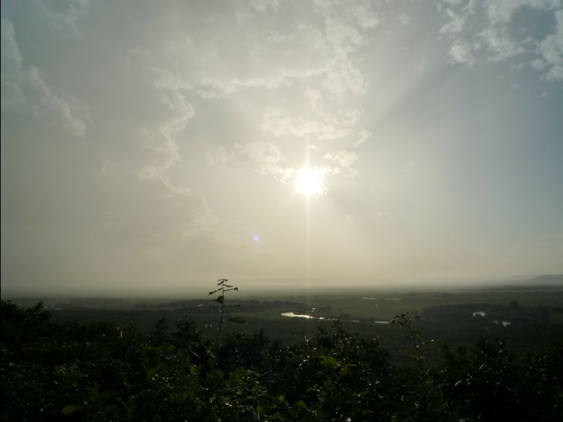 Wetland_Park46